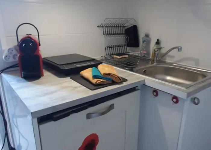 Le Petit Palais 公寓